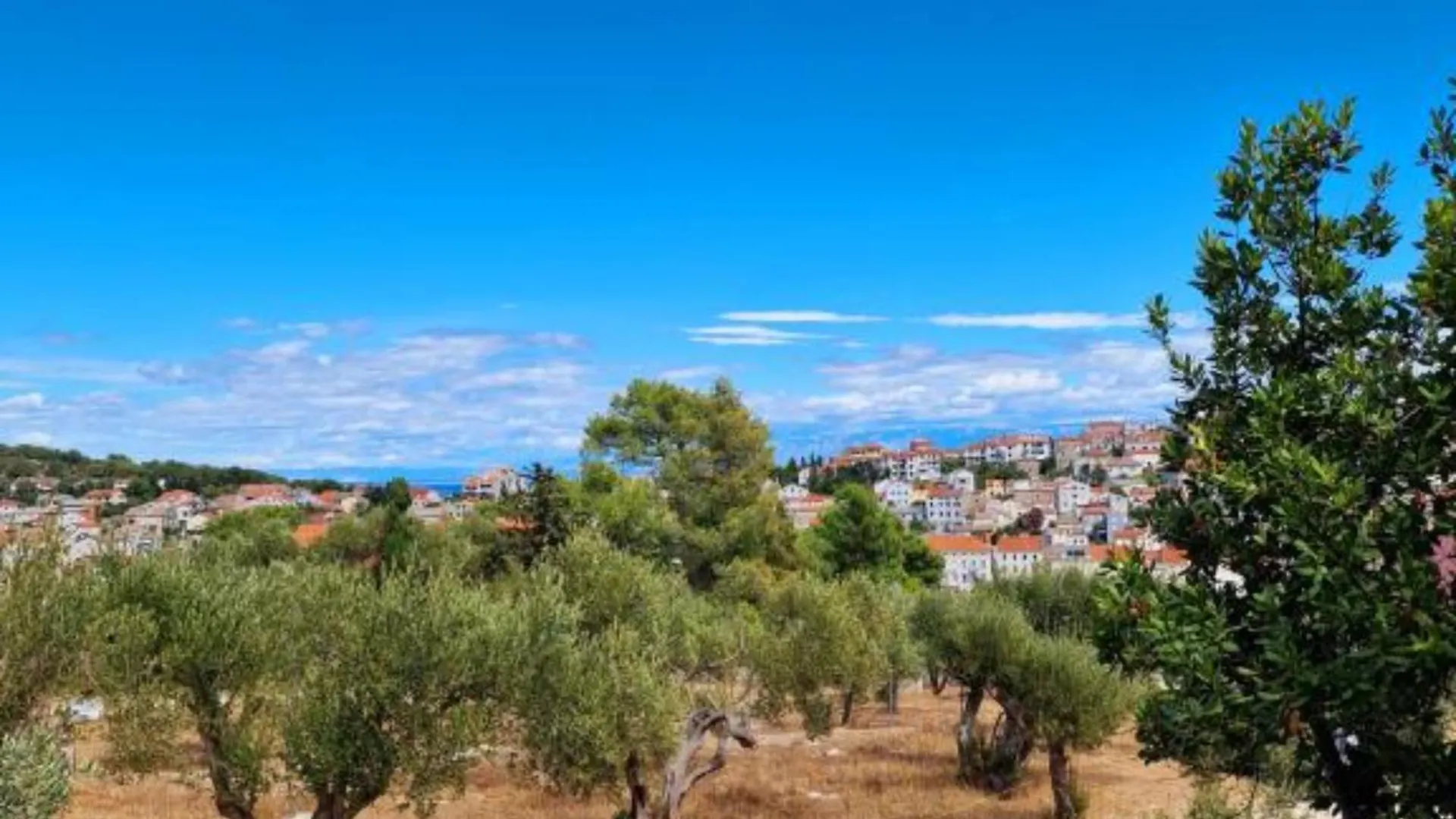 Bed & Breakfast Pansion Belvedere Mali Lošinj