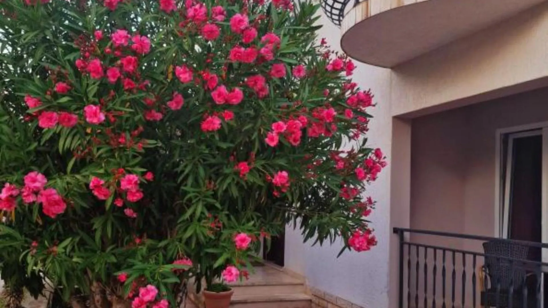 Pansion Belvedere Mali Losinj 0*,