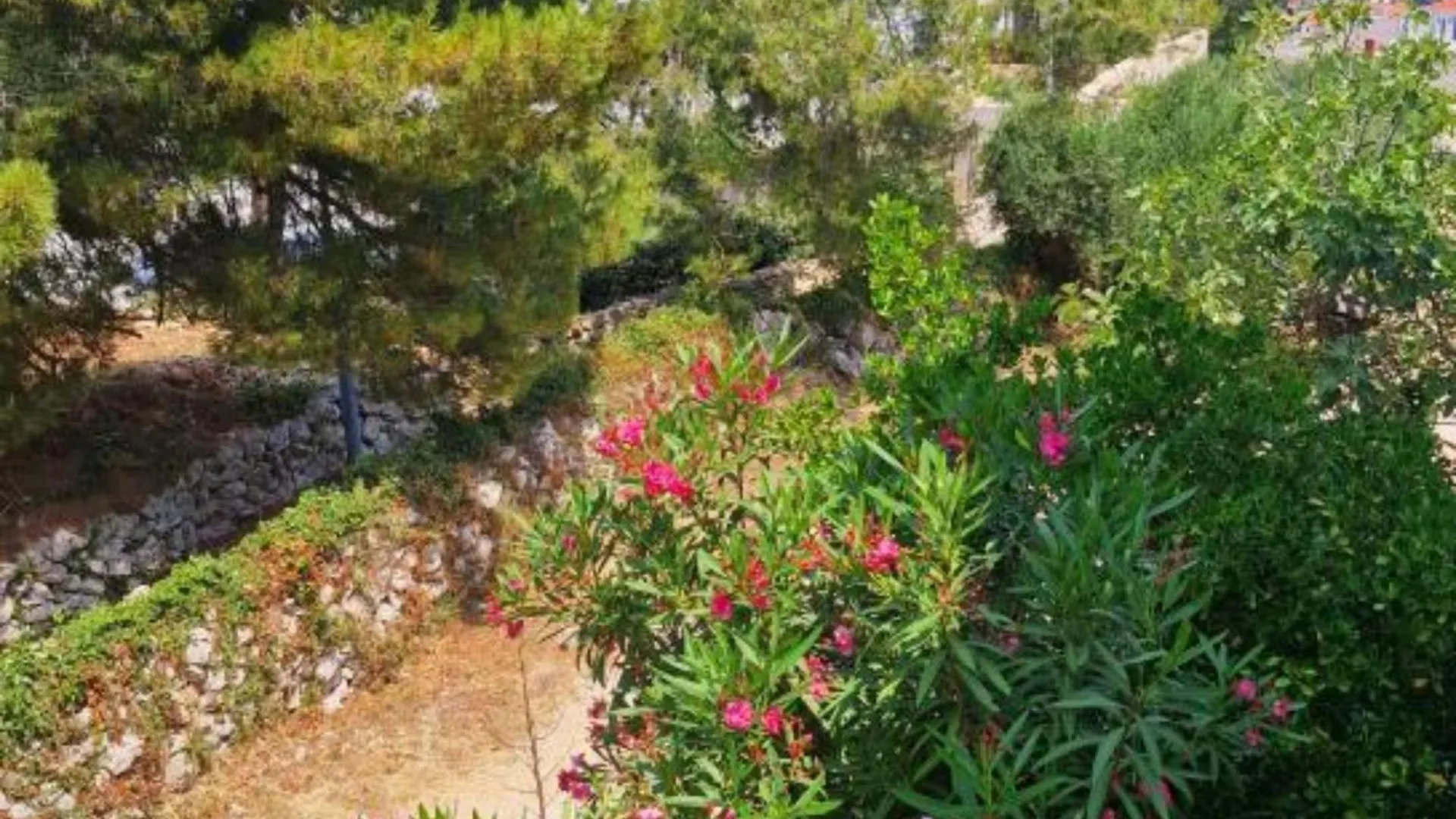 Pansion Belvedere Mali Losinj Croatia